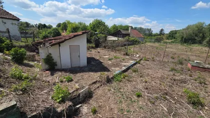 Bajmok | 4zida.rs