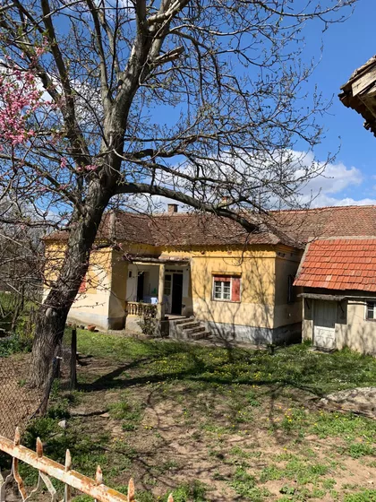 Donja Mutnica | 4zida.rs