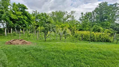 Stanišić | 4zida.rs