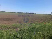 Čenej, Okolne lokacije, Novi Sad | 4zida.rs