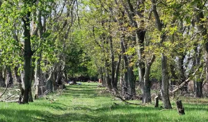 Poljoprivredno zemljište | 4zida