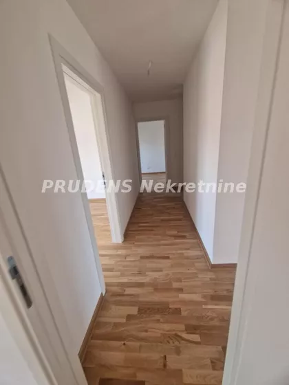 Paje Jovanovića | 4zida.rs