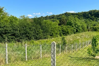 Krčedin | 4zida.rs