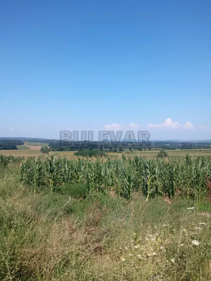 Donja Rača | 4zida.rs