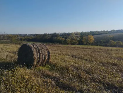 Blagojevica | 4zida.rs