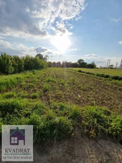 Zvečka | 4zida.rs