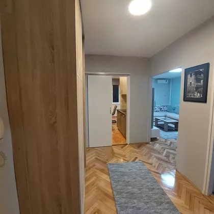 Cara Dušana | 4zida.rs