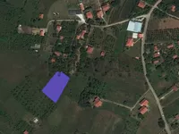 Donje Vlase, Okolne lokacije, Niš | 4zida.rs