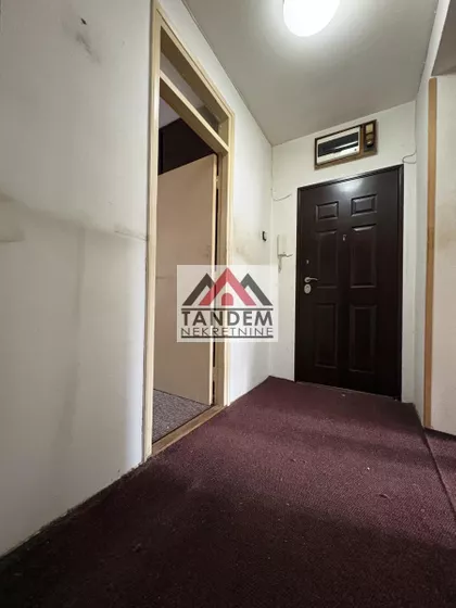 Crveni Pevac | 4zida.rs