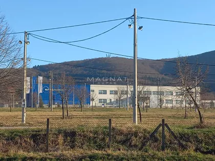 Despota Stevana Lazarevića | 4zida.rs