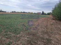 Čortanovci, Okolne lokacije, Inđija | 4zida.rs