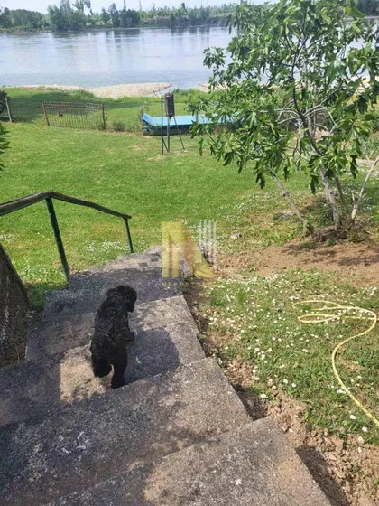 Čerević | 4zida.rs