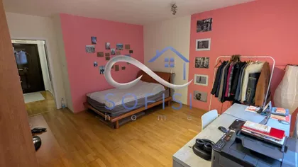 Vase Pelagića | 4zida.rs