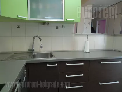 DEDINJE BELI DVOR | 4zida.rs