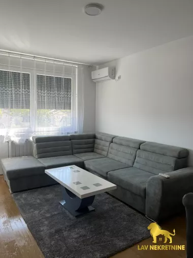 RADOJA DOMANOVIĆA