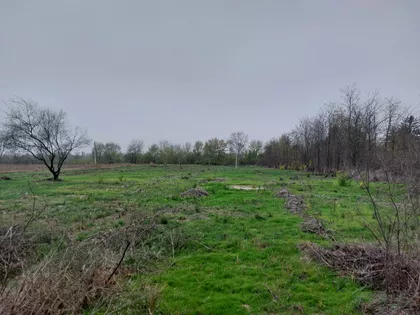 Beogradski Put | 4zida.rs