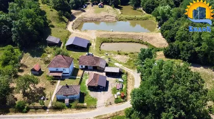 Dobrivoja Maksimovića | 4zida.rs