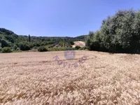 Poljoprivredno zemljište | 4zida