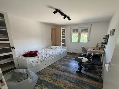 Borča | 4zida.rs