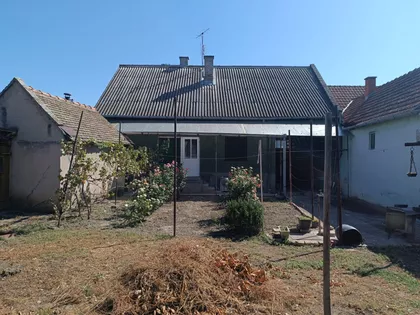 Petra Drapšina | 4zida.rs