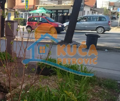 Knjaževačka | 4zida.rs