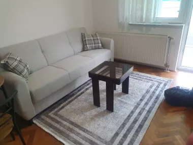 Dr Svetislava Kasapinovića