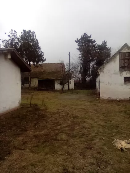 Gornji Tavankut | 4zida.rs