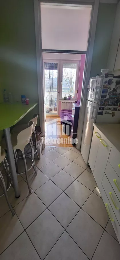 Nedeljka Gvozdenovića | 4zida.rs