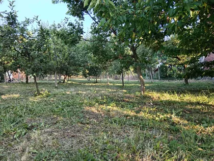 Stevana Mokranjca | 4zida.rs