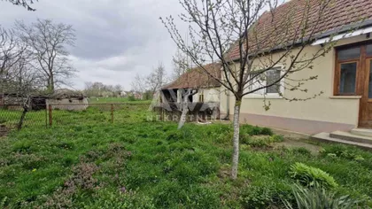 Svetozar Miletić | 4zida.rs