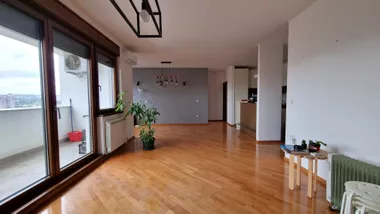 Vojvode Stepe