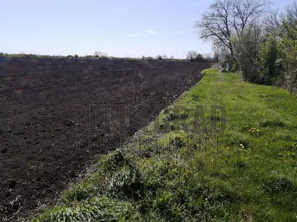 2 srpsko polje | 4zida.rs