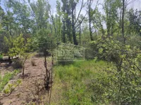 Makova Sedmica, Gradske lokacije, Subotica | 4zida.rs