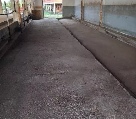 Lokal | 4zida