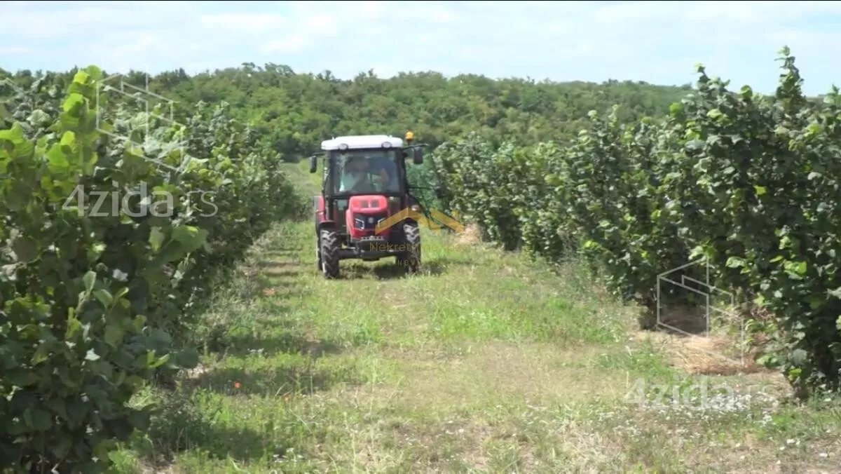 Poljoprivredno zemljište | 4zida