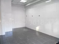 Lokal | 4zida