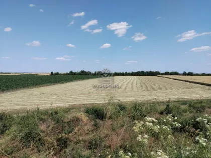 Novi Banovci | 4zida.rs