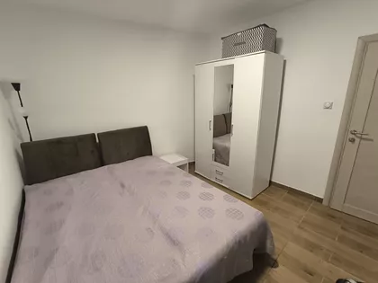 Šojka | 4zida.rs