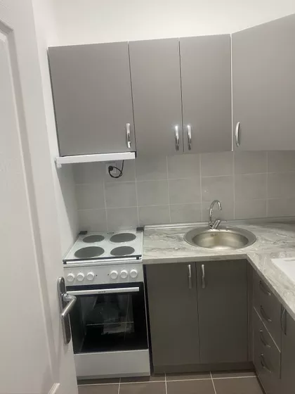 Vase Ostojića | 4zida.rs