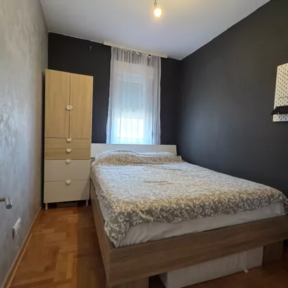 Stepa Stepanović | 4zida.rs