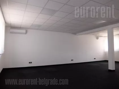 HALA PIONIR | 4zida.rs