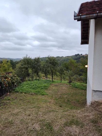 Kralja Dragutina | 4zida.rs