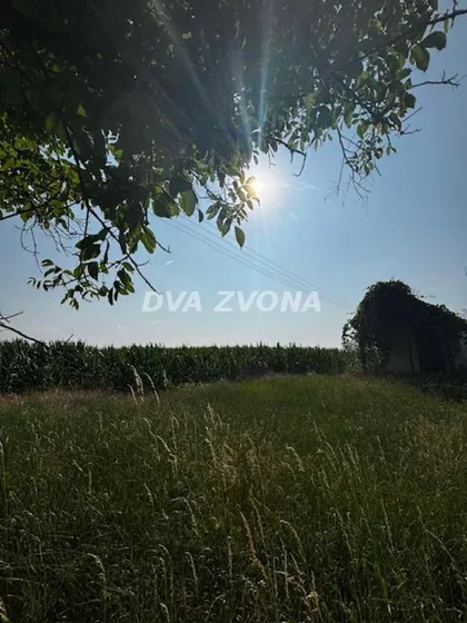 Čortanovci | 4zida.rs