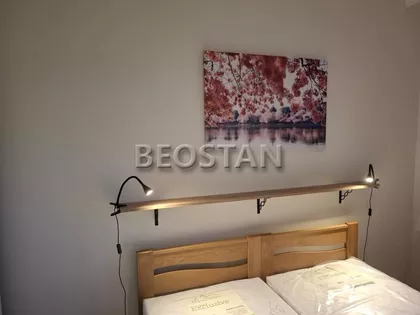 Mileve Maric Ajnstajn | 4zida.rs