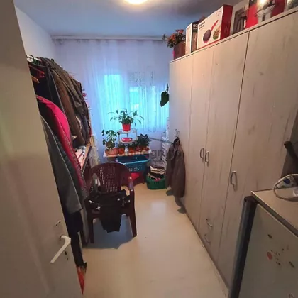 Palih boraca Male Moštanice | 4zida.rs