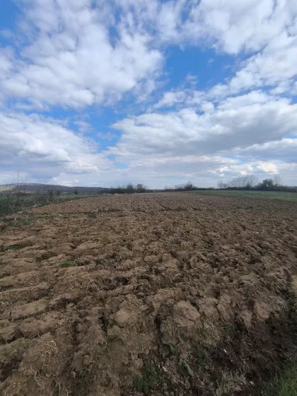 Kosmajska | 4zida.rs