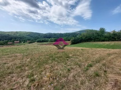 Karađorđeva | 4zida.rs