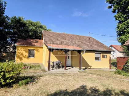 Pačir | 4zida.rs