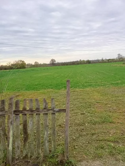 Kajmakčalanska | 4zida.rs