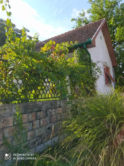 Privina Glava | 4zida.rs